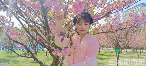 身着汉服踏歌行 岳阳职院景观工程中的中国风设计与实践