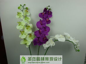 从创意到景观 沈阳仿真花产业的全面供应与艺术实践