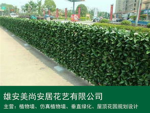 仿真植物墙 雄安美尚安居景观工程的设计、施工与价格指南