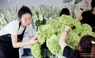 25年老牌花店的利润常青藤 从零售拓展至酒店、宴会与景观工程